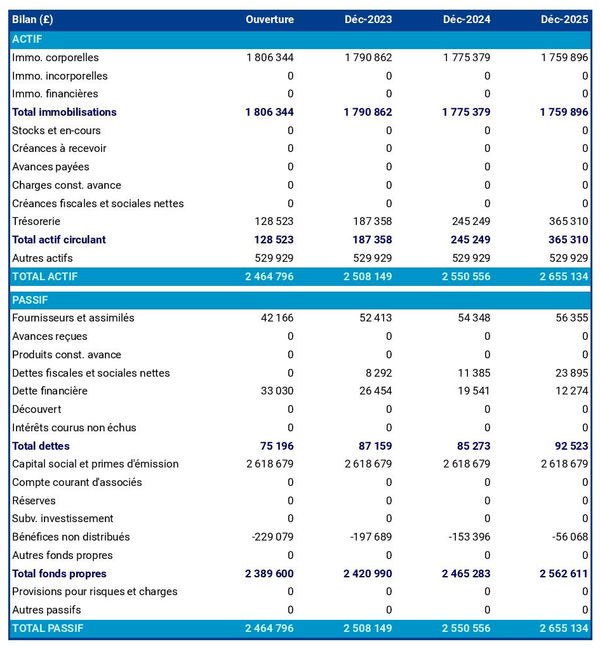 exemple de bilan prévisionnel dans un business plan d'entreprise de transport routier de marchandise 