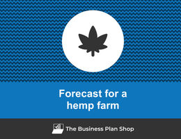 Financial forecast for a hemp farm