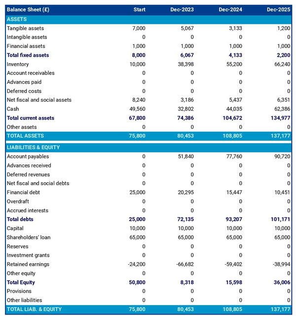 financial projections: carpet and rug manufacturing business balance sheet example