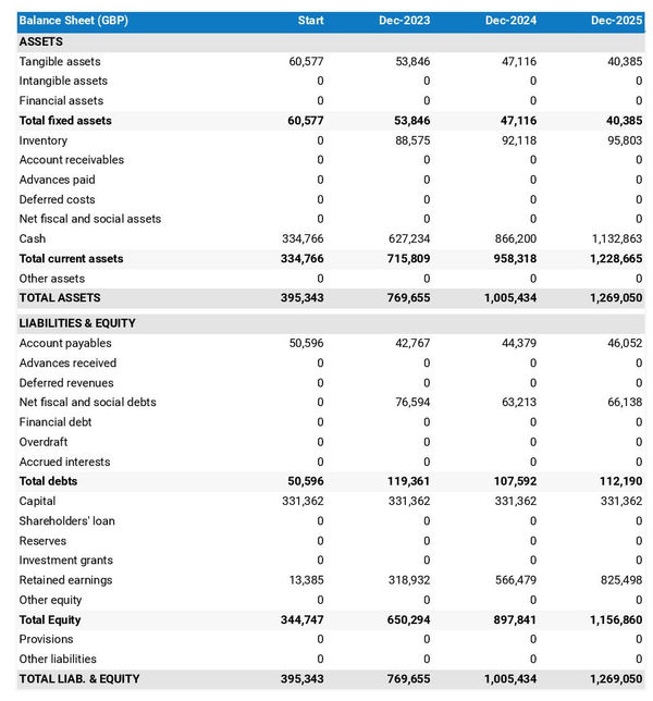 financial forecast: drugstore balance sheet example