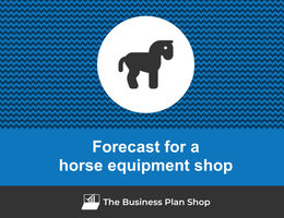 Financial forecast for a horse equipment shop