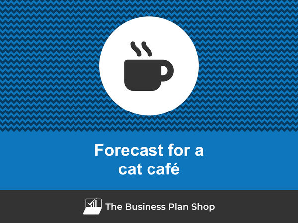 cat café financial projections