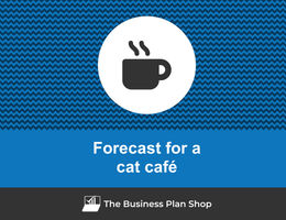 Financial forecast for a cat café