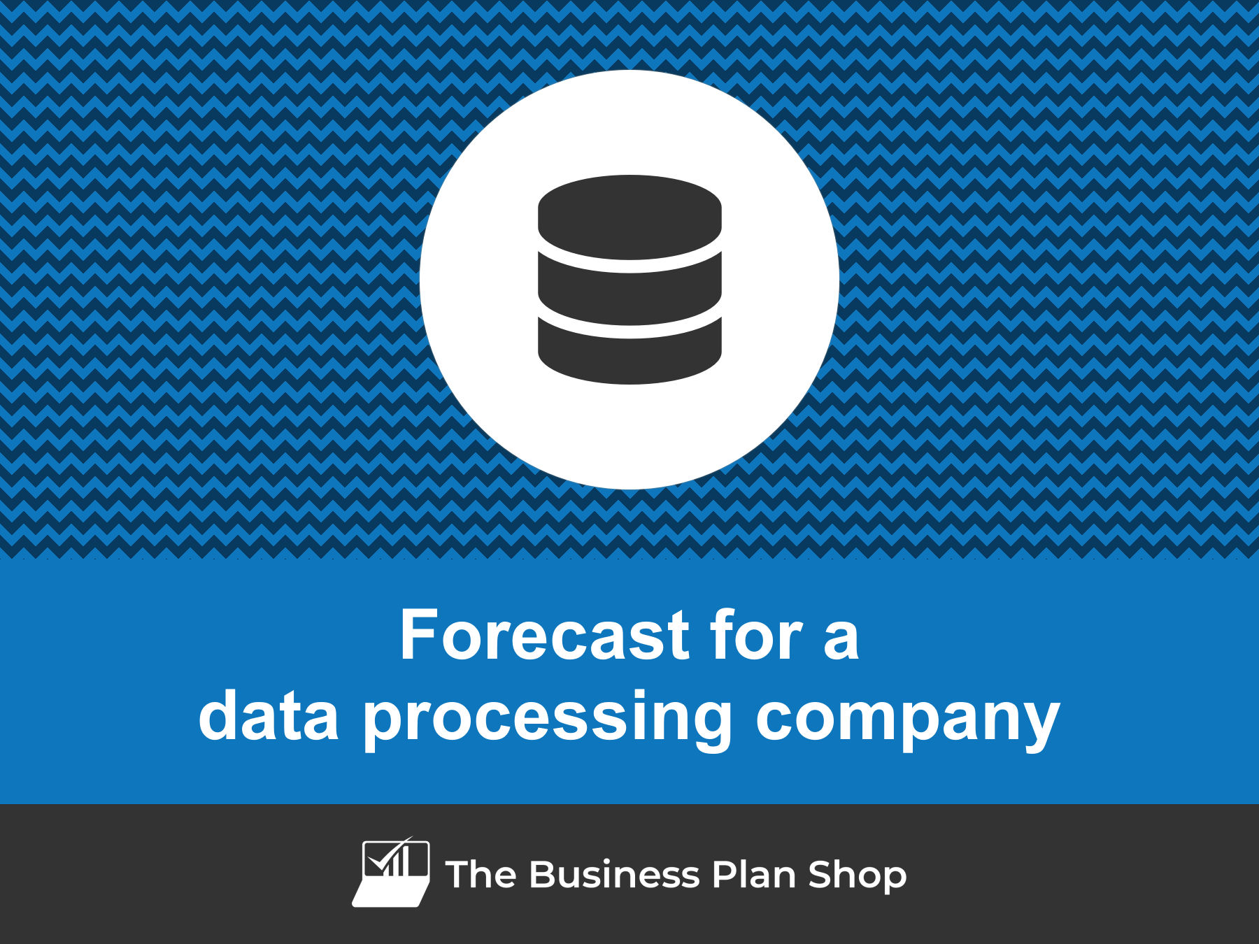 Data Processing Software Blog How to create a data processing company financial forecast?