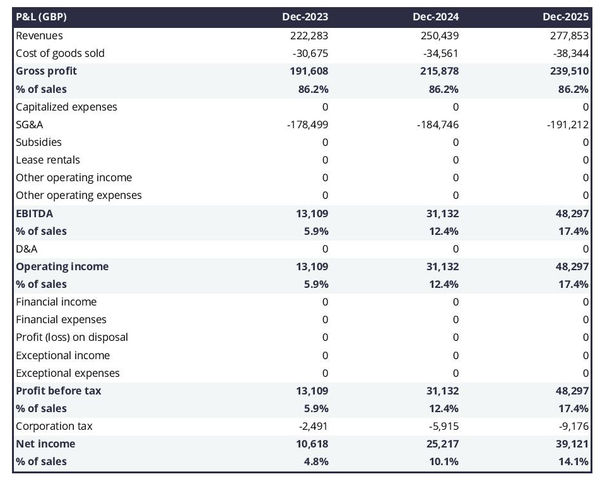 chemical engineering advisory firm projected profit and loss statement