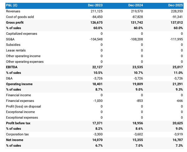 snow removal company profit and loss forecast