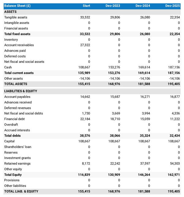 example of snow removal company projected balance sheet