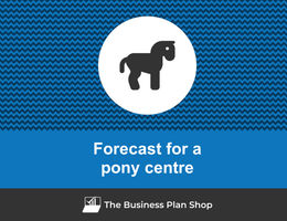 Financial forecast for a pony centre