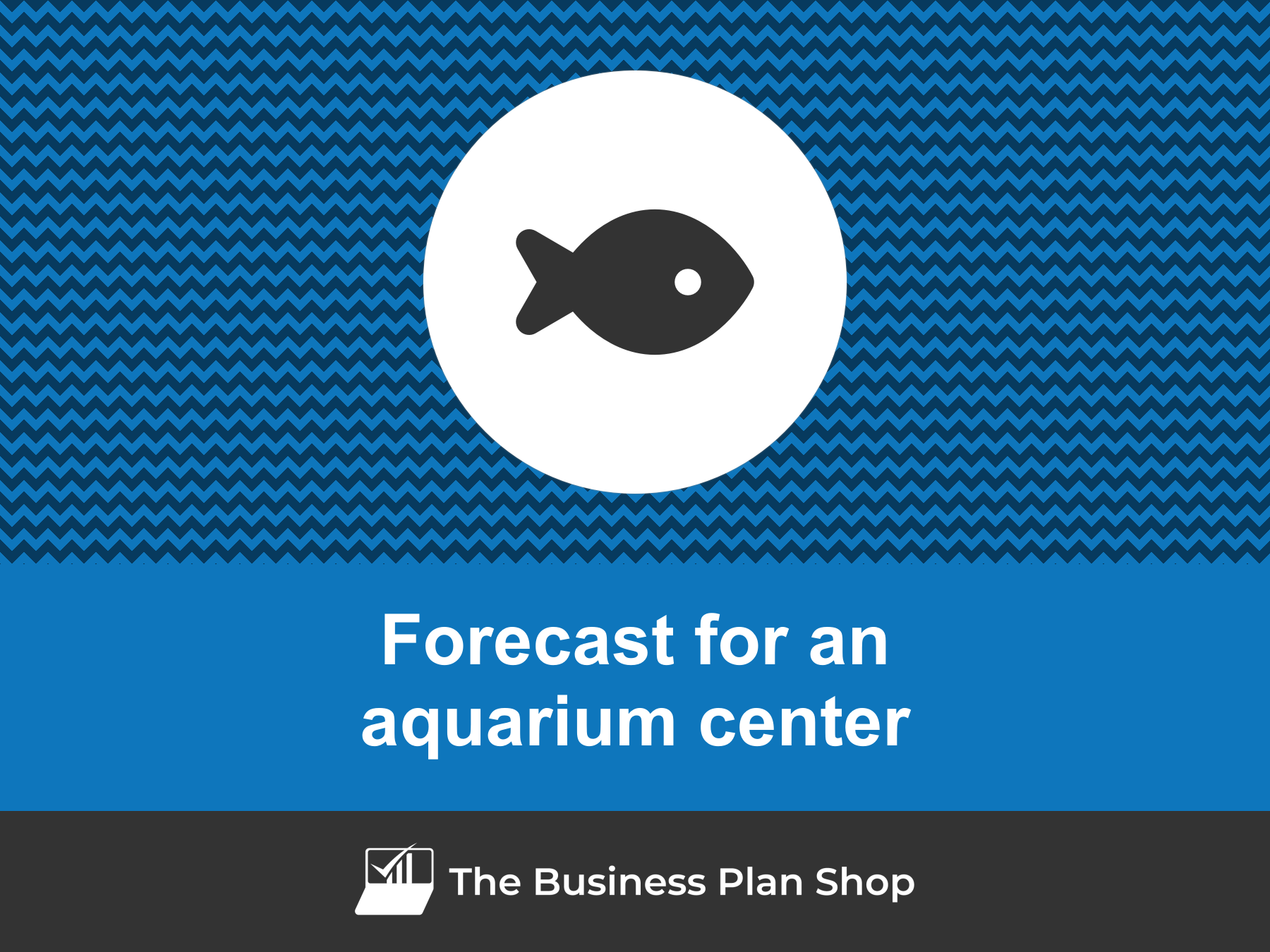 Starting an Aquarium Maintenance Business