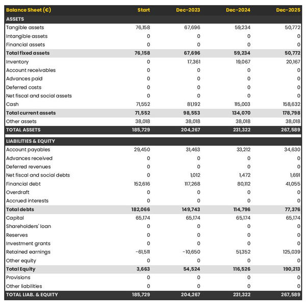 financial projections: private zoo balance sheet example