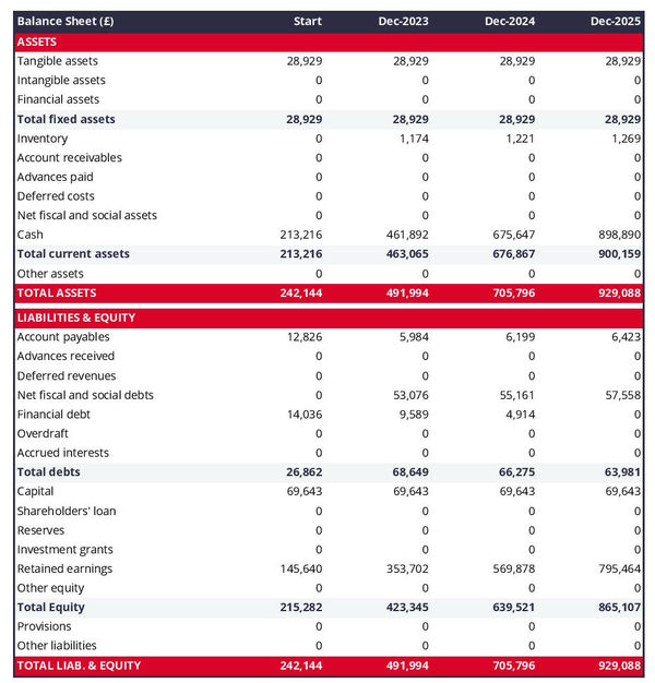 financial forecast: massage parlour balance sheet example