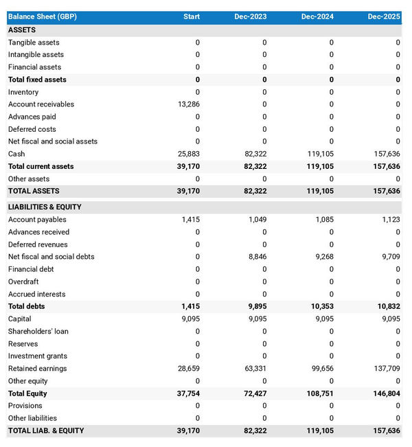 example of dog walking company projected balance sheet