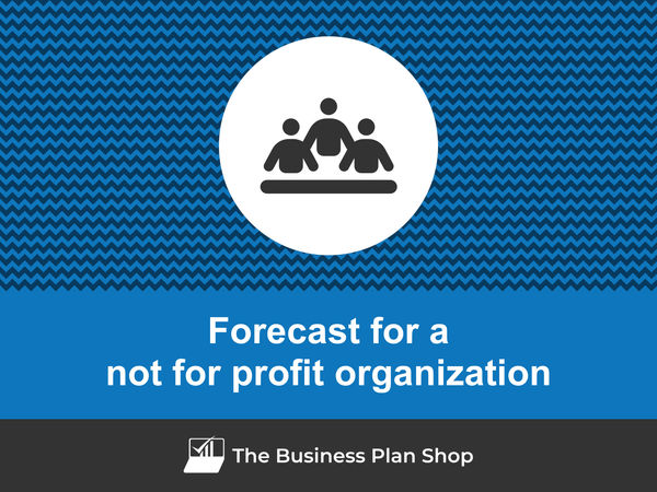 not for profit organization financial projections