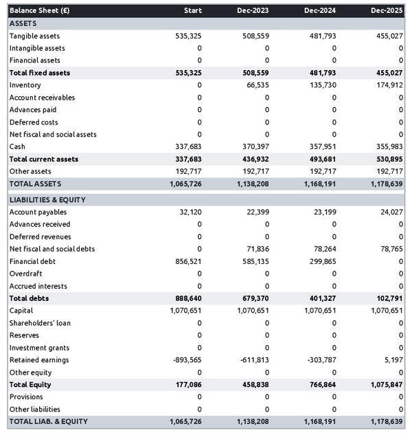 financial projections: garlic farm balance sheet example
