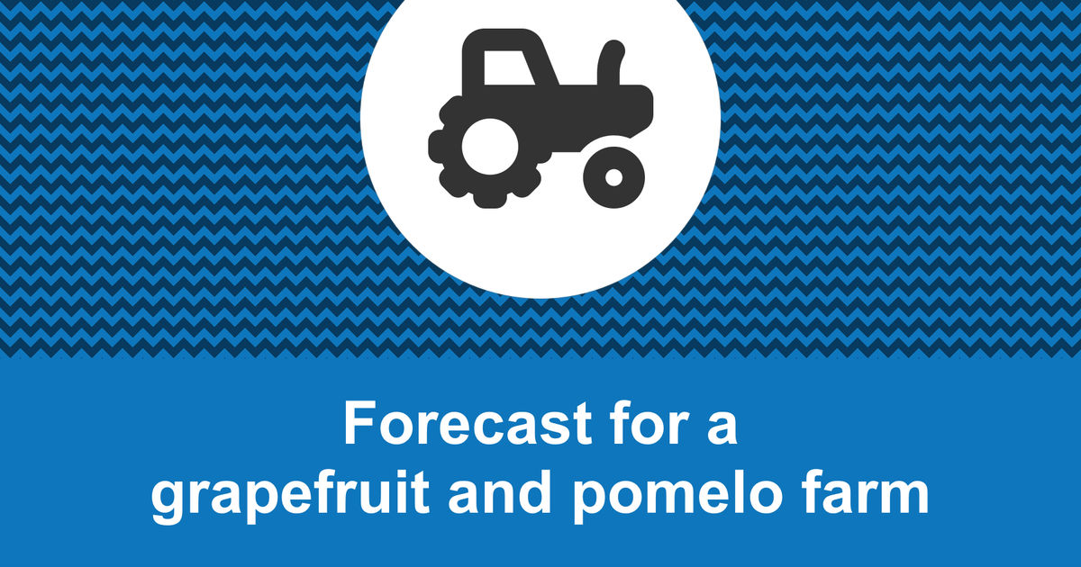 How to create a grapefruit and pomelo farm financial forecast?