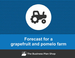How to create projected financials for a grapefruit and pomelo farm?
