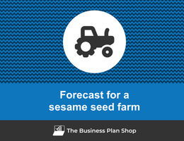 How to create projected financials for a sesame seed farm?