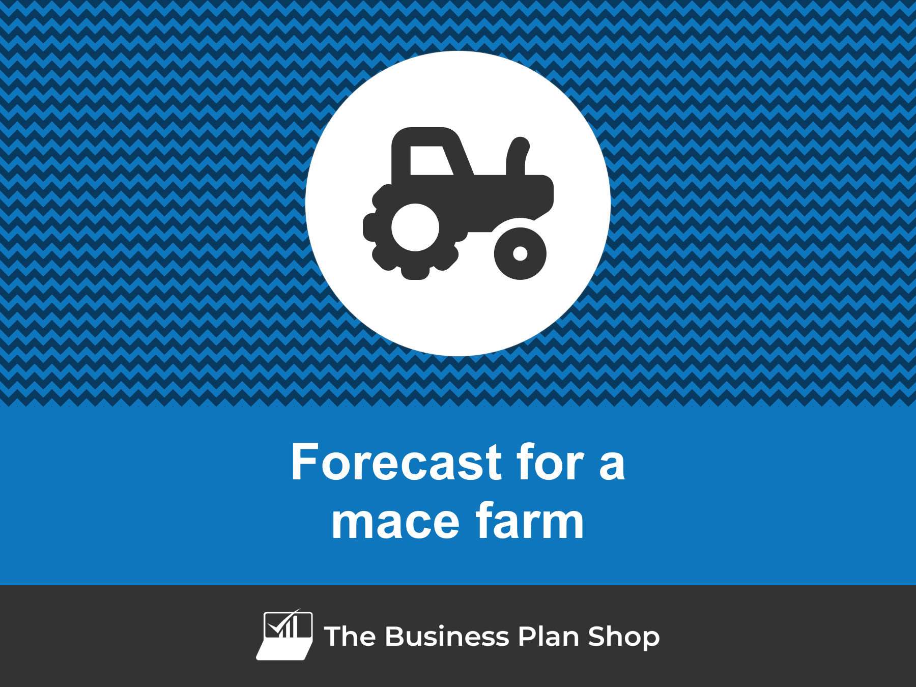 How to create a mace farm financial forecast?