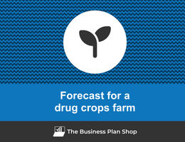How to create projected financials for a drug crops farm?