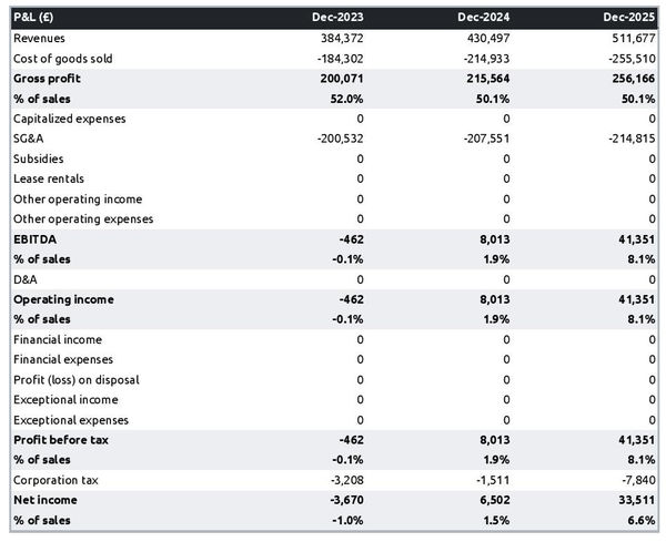 blueberry farm projected profit and loss statement