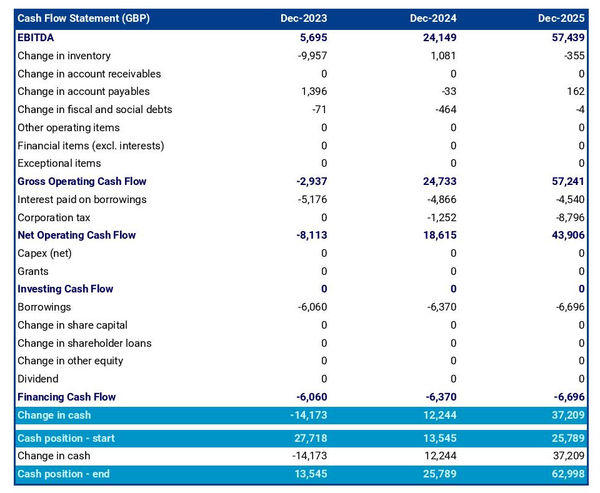 seed processing company projected cash flow statement