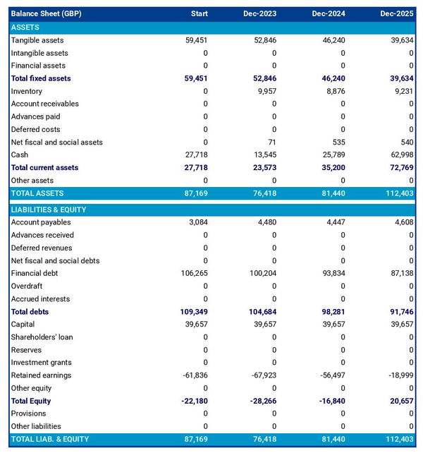 financial projections: seed processing company balance sheet example