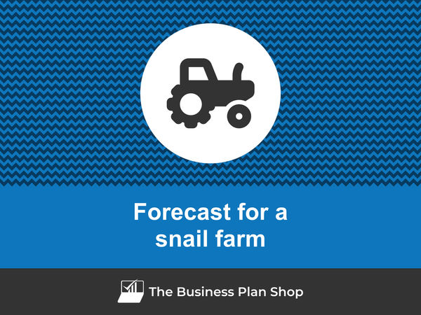 snail farm financial forecast