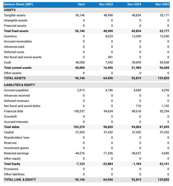 financial projections: snail farm balance sheet example