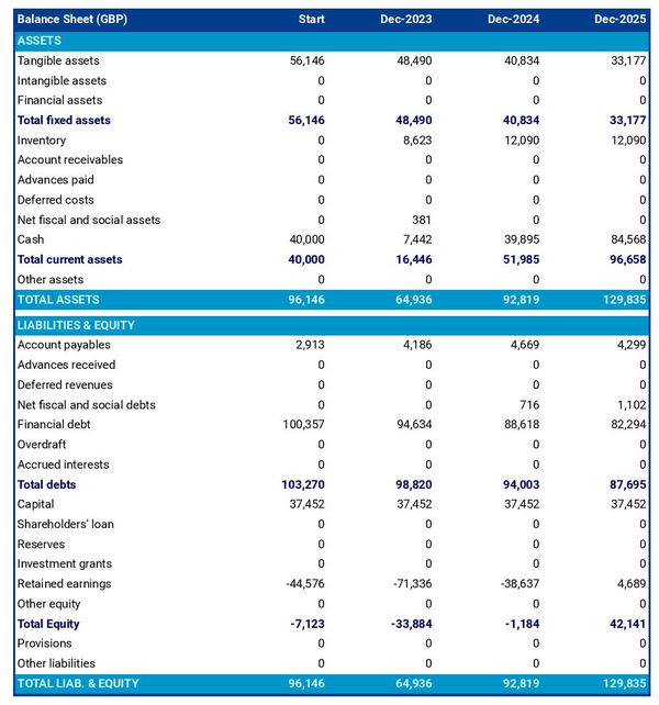 example of silkworm farm projected balance sheet