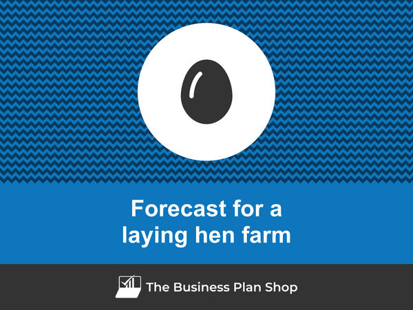 laying hen farm financial forecast
