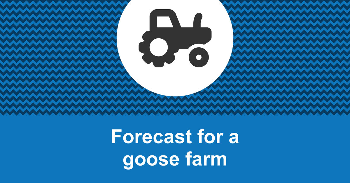 How to create a goose farm financial forecast?