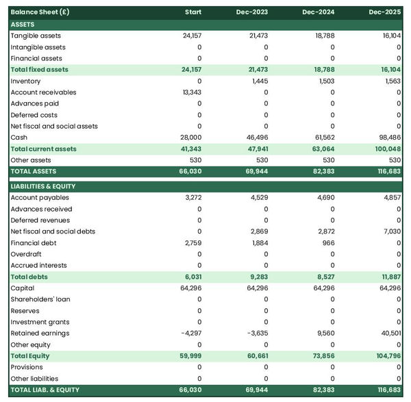 financial projections: duck farm balance sheet example