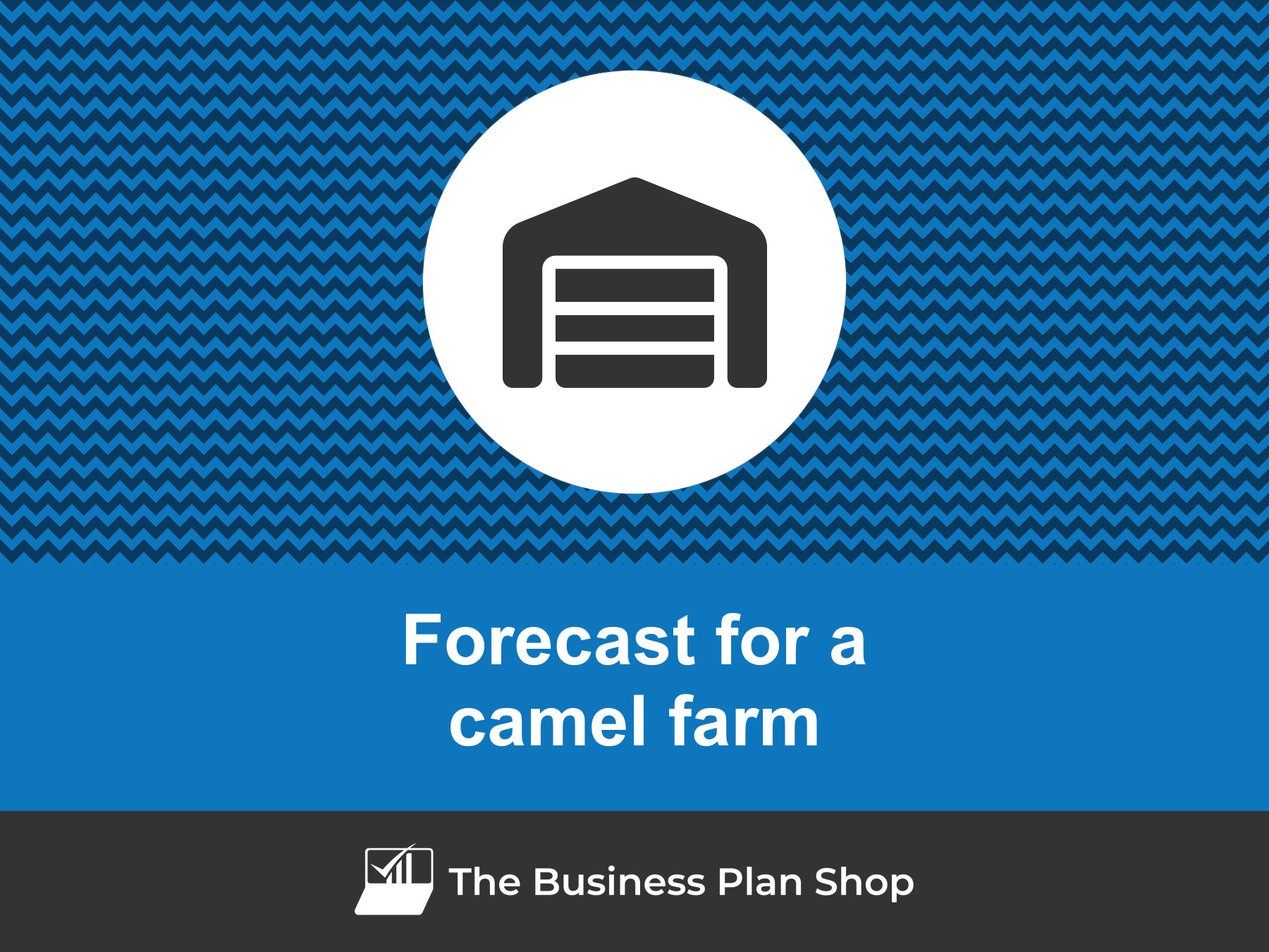How to create a camel farm financial forecast?