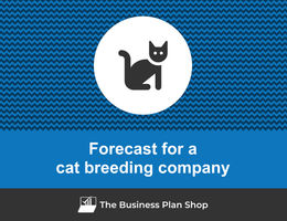 How to create projected financials for a cat breeding company?