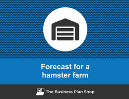 Financial forecast for a hamster farm