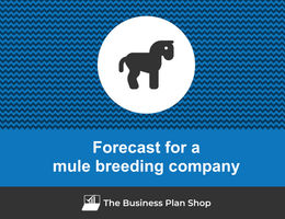 How to create projected financials for a mule breeding company?