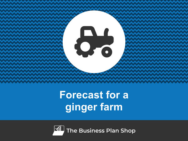 ginger farm financial projections