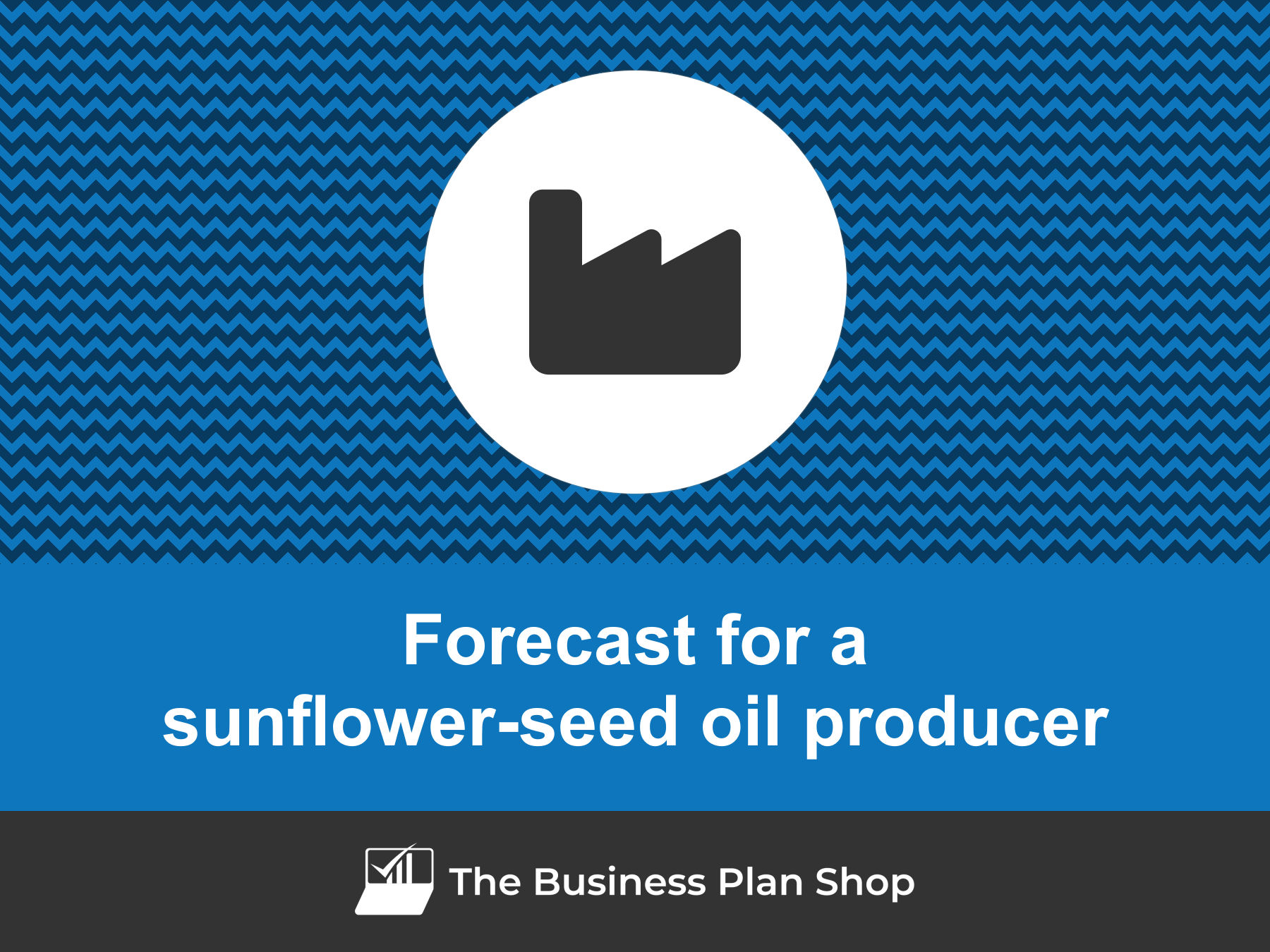 How to create a sunflowerseed oil producer financial forecast?