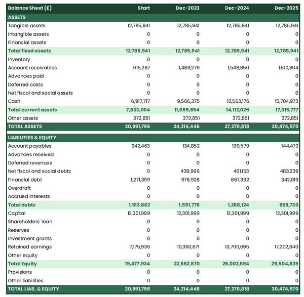 financial projections: waste collection company balance sheet example