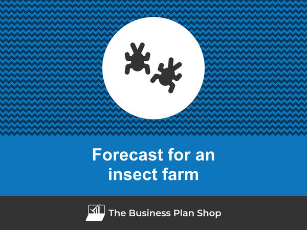 insect farm financial projections