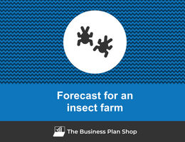 Financial forecast for an insect farm