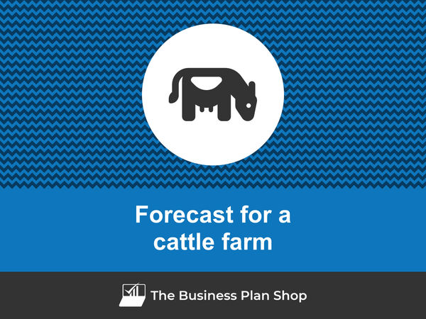 cattle farm financial forecast
