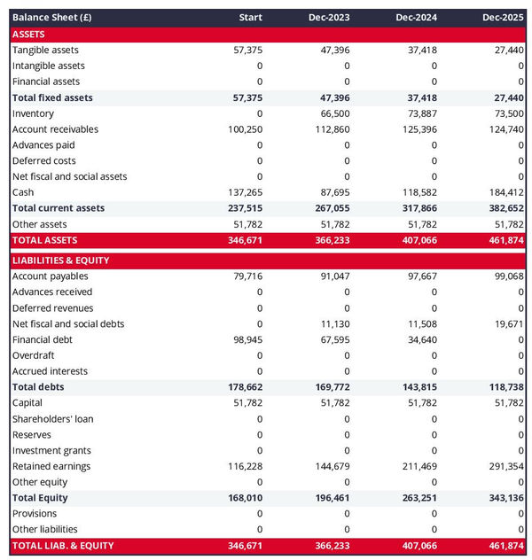 financial projections: live animals wholesaler balance sheet example