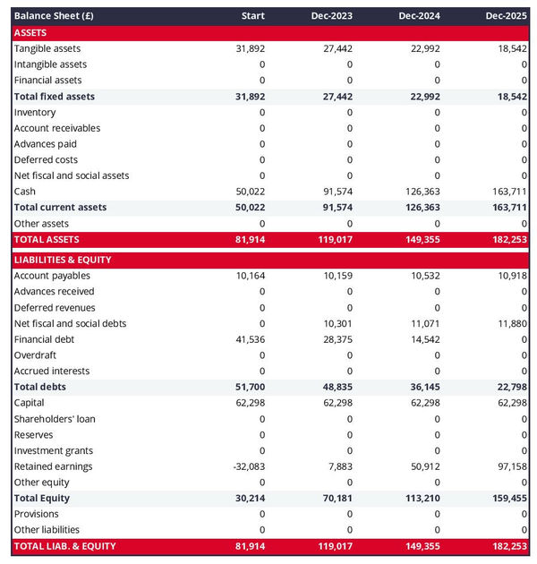 financial projections: horticultural supplies wholesaler balance sheet example