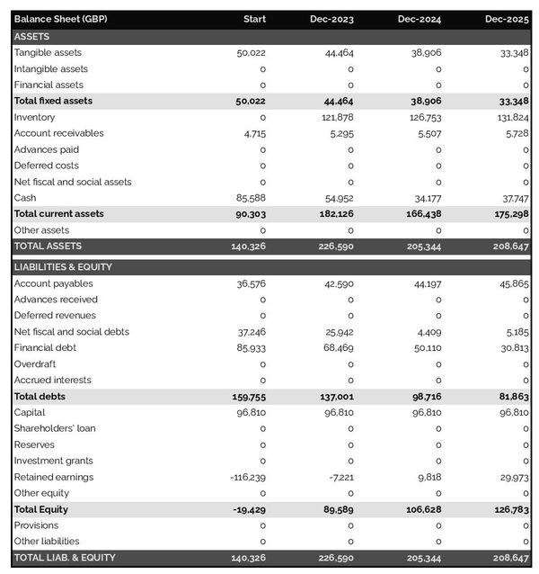 financial forecast: hat store balance sheet example