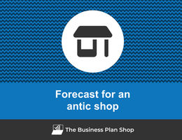Financial forecast for an antic shop