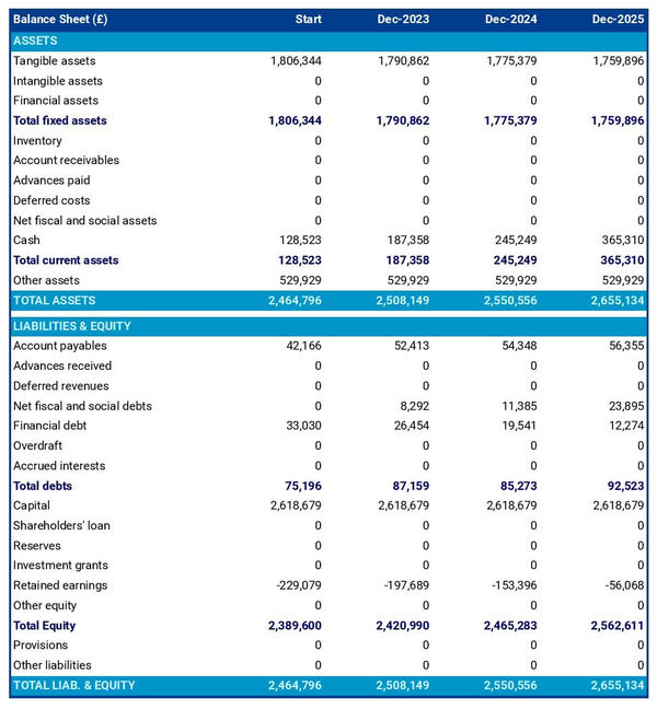 financial forecast: logistics company balance sheet example