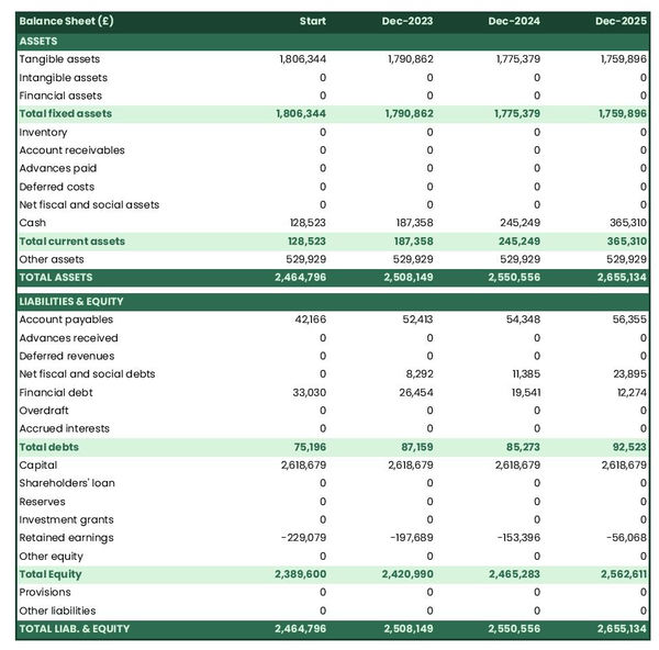 example of private chauffeur firm projected balance sheet