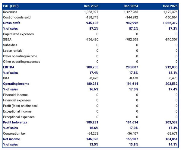 private jet rental firm profit and loss forecast