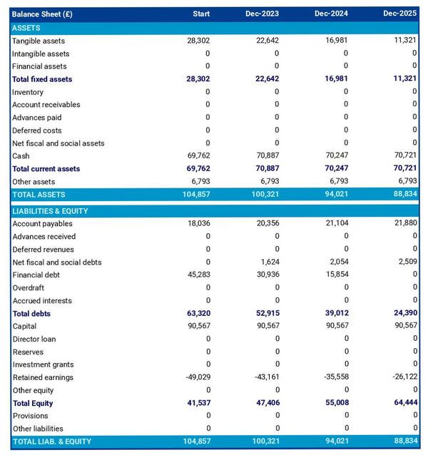 financial forecast: water taxi company balance sheet example